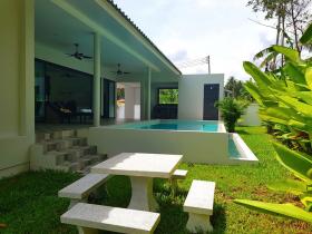 Zu verkaufen 2 Villen mit Pool in Namuang