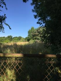 Zu verkaufen Bauland 10.000 m2 15 Minuten von Nantes entfernt