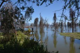 68 ha Seeufergrundstück am Naivasha-See