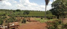 475 acre Kaffee-Farm zum Verkauf in Thika, Murang'a County