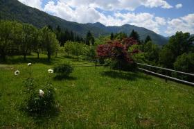 Zu verkaufen exklusive Mehrfamilienhäuser in Bohinj