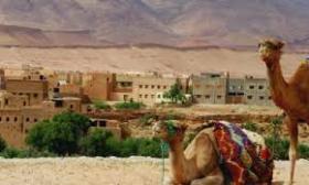 800 ha Land idealer Vorschlag für Investoren