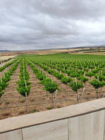 Ich suche 30 ha landwirtschaftlichen Betrieb oder Wirtschaftspartner zu verkaufen