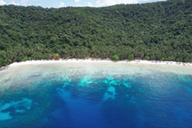 Fast 4 Hektar erstklassiger tropischer Inselstrand