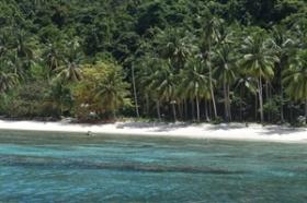 Fast 4 Hektar erstklassiger tropischer Inselstrand