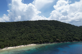 Fast 4 Hektar erstklassiger tropischer Inselstrand