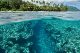 Einzelne private Villa im Herzen des Korallendreiecks der Welt