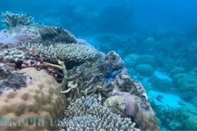 Ikonische Entwicklungsmöglichkeit auf mehreren Inseln für globale Marken