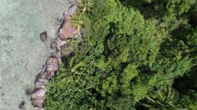 Von Palmen gesäumter Privatstrand, Zonenbebauung - erhöhte Aussicht und erstklassige Korallen