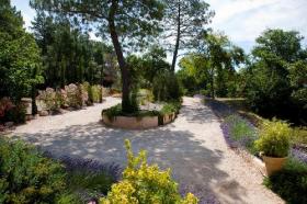 Schönes provenzalische Haus, 2 ha 300 - 7-Schlafzimmer - 15 x 7 m Pool