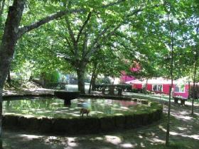 Zu verkaufen ist das 10 ha große Grundstück mit 2 Häusern