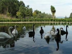 Zu verkaufen ist das 10 ha große Grundstück mit 2 Häusern