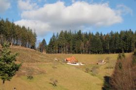 Schwarzwälder Bauernhaus mit Wald und Grünland in fantastischer Lage
