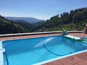 Schwarzwälder Bauernhaus mit Wald und Grünland in fantastischer Lage