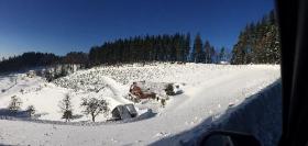 Schwarzwälder Bauernhaus mit Wald und Grünland in fantastischer Lage